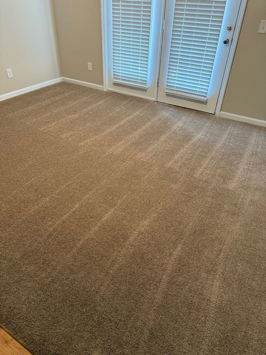 Living-area carpet cleaned and vacuumed after a unit turn, fresh lines across the floor